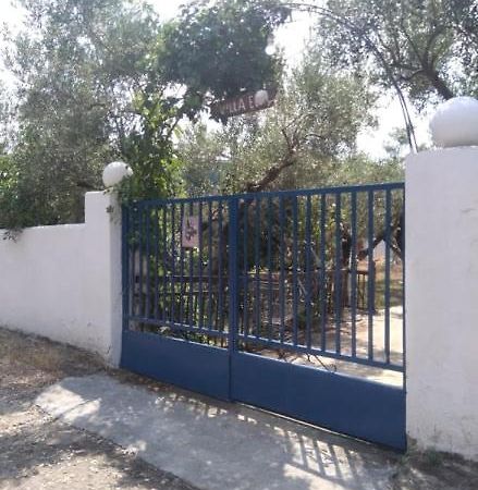 Villa Elli Metokhion Agios Grigoriou Bagian luar foto