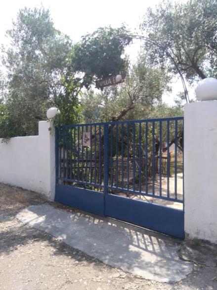 Villa Elli Metokhion Agios Grigoriou Bagian luar foto